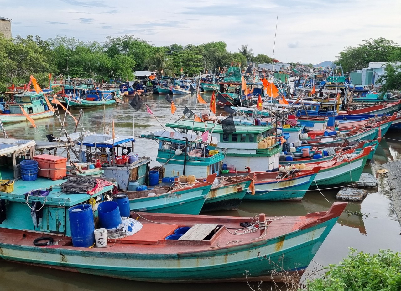 Kỳ 3: Khai thác và phát triển ngành nuôi trồng hải sản theo hướng bền vững