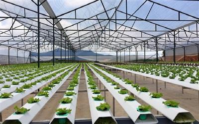 Bài 2: Tái cấu trúc ngành trồng trọt bằng tư duy khoa học và đổi mới