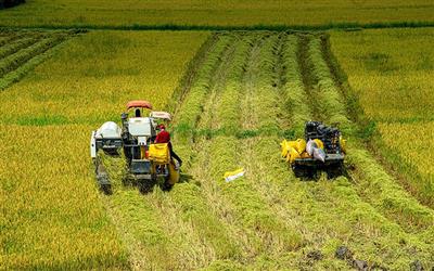 Bài 4 (bài cuối): Kết nối đa bên - Hợp lực để hiện thực hóa mục tiêu trồng trọt giảm phát thải