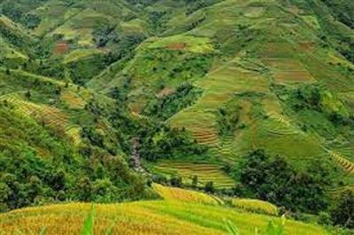 Bài 6: Giao đất, cho thuê đất thông qua đấu giá quyền sử dụng đất, đấu thầu dự án có sử dụng đất và các trường hợp không đấu giá quyền sử dụng đất