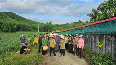 Bài toán môi trường và phép thử với địa phương
