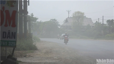 Bảo đảm môi trường sống trong lành