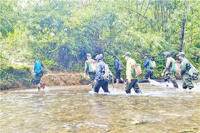 Bảo vệ động, thực vật hoang dã