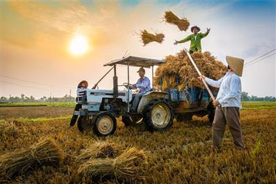 Bảo vệ môi trường nông nghiệp, nông thôn đưa đất nước bước vào kỷ nguyên mới, kỷ nguyên phát triển thịnh vượng