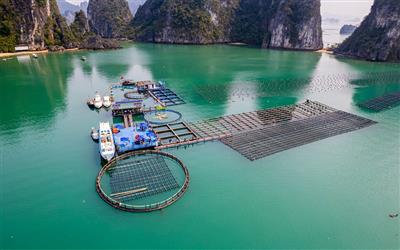 Biển đảo Việt Nam 2025: Làn sóng công nghệ xanh đang trỗi dậy