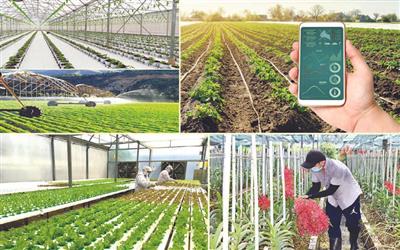 Bộ Nông nghiệp và Môi trường: Triển khai 7 nhiệm vụ then chốt, tạo đột phá phát triển khoa học, công nghệ