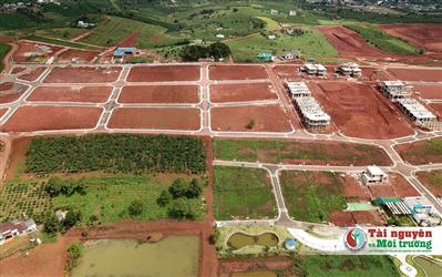 Bộ TN&MT ban hành Quyết định số 678/QĐ-BTNMT về triển khai thi hành Luật Đất đai 2024