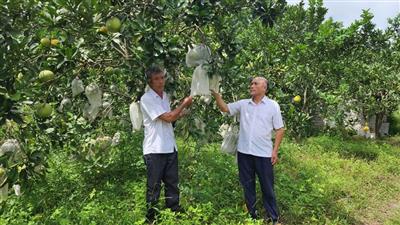 Xây dựng nền nông nghiệp sinh thái, bền vững ở khu vực miền núi tỉnh Thanh Hóa