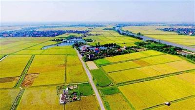 Cần ưu tiên đầu tư cơ sở hạ tầng tại diện tích đất ít khả năng sản xuất nông nghiệp