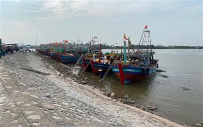Cảng cá Ninh Bình: Đảm bảo đáp ứng yêu cầu dịch vụ hậu cần nghề cá