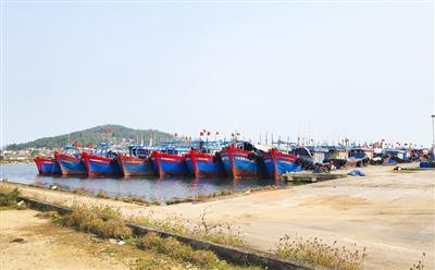 Cảng cá Thanh Hóa: Quyết liệt quản lý, hướng tới phát triển bền vững
