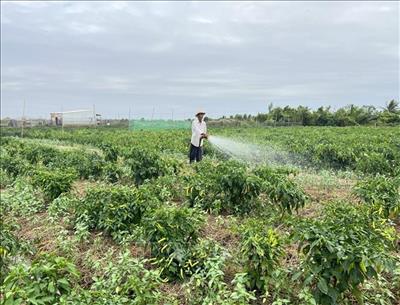 Chính sách đất đai cho đồng bào dân tộc thiểu số