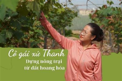 Cô gái xứ Thanh dựng nông trại công nghệ cao từ đất hoang hóa