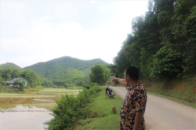 Cử tri nhiều lần kiến nghị, sổ đỏ đất rừng ở Hòa Bình vẫn bặt vô âm tín