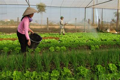 Đảm bảo sinh kế bền vững khi Nhà nước thu hồi đất nông nghiệp từ đó đổi mới các hình thức bồi thường, hỗ trợ cho người dân