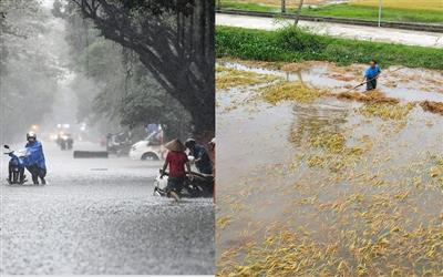 Đánh giá điều kiện khí tượng nông nghiệp và các yếu tố thời tiết bất lợi đối với sản xuất nông nghiệp năm 2024