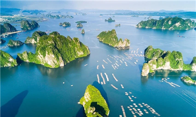 Đề xuất phân cấp 86 thẩm quyền của Bộ trưởng Bộ Nông nghiệp và Môi trường cho cấp tỉnh