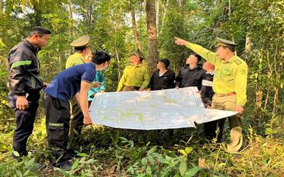 Điện Biên: Tăng cường công tác quản lý bảo vệ rừng và phòng cháy chữa cháy rừng