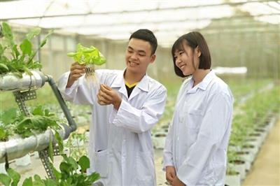 Định hướng công tác đào tạo của Trường Chính sách công và Phát triển nông thôn trong đào tạo người nông dân chuyên nghiệp