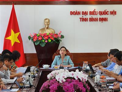 Đoàn ĐBQH tỉnh Bình Định lấy ý kiến góp ý vào Dự thảo Luật Đất đai (sửa đổi)