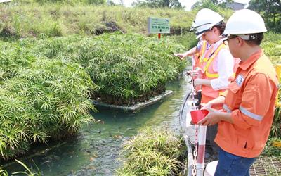 Doanh nghiệp Việt giải bài toán thiếu hụt nguồn cung Vonfram toàn cầu