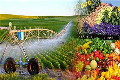 Đổi mới công tác đào tạo, bồi dưỡng hướng tới xây dựng đội ngũ cán bộ, công chức, viên chức đáp ứng yêu cầu nhiệm vụ trong tình hình mới