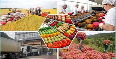 Đơn giản hóa thủ tục hành chính về nông nghiệp và môi trường