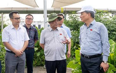 Giám sát chuyên đề việc thực thi Luật Bảo vệ môi trường: Phó Chủ tịch Quốc hội Lê Minh Hoan khảo sát các mô hình xử lý rác thải, nước thải tiêu biểu tại Hà Nội