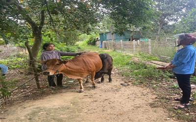 Hà Tĩnh quyết tâm giảm nghèo bền vững