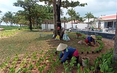 Hàng chục nghìn cây được trồng mới từ những bước chạy “xanh”