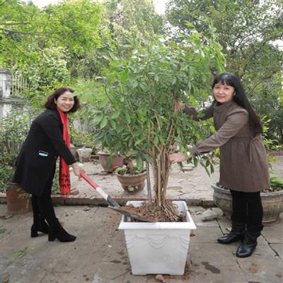 Hiệu trưởng Nguyễn Thị Anh Thư: Giáo dục môi trường là hành trình gieo những hạt giống sống tử tế