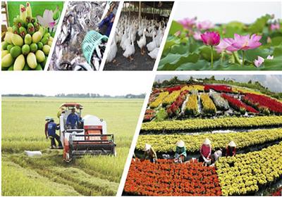Hoàn thiện Hồ sơ Đề án đánh giá tình hình thực hiện Nghị quyết số 19-NQ/TW về nông nghiệp, nông dân, nông thôn