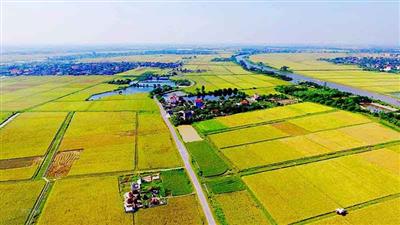 Khai thác hiệu quả nguồn lực đất nông nghiệp