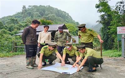 Kiểm lâm Hạ Hòa: Nhiều kết quả tích cực trong quản lý và bảo vệ rừng