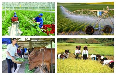 Kiện toàn Ban Chỉ đạo Tổng điều tra nông thôn, nông nghiệp năm 2025 trung ương