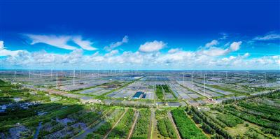 Kinh tế tuần hoàn - Mô hình để phát triển xanh cho các hợp tác xã nông nghiệp