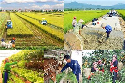 Kịp thời hướng dẫn, tháo gỡ khó khăn trong triển khai các chương trình mục tiêu quốc gia