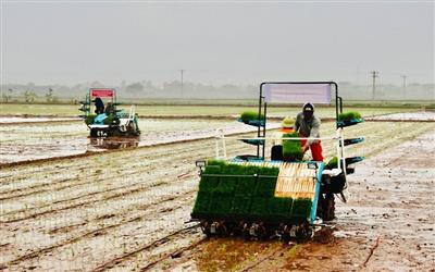 Kỳ 3: Cơ giới hóa và kinh tế tuần hoàn - hai động lực thúc đẩy nông nghiệp bền vững