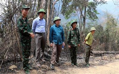 Lạng Sơn: Kiểm lâm Chi Lăng giữ vững vai trò nòng cốt trong quản lý, bảo vệ và phát triển rừng