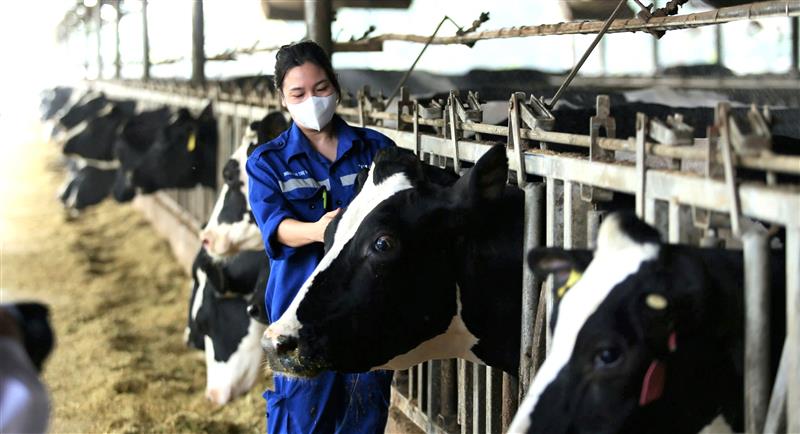 Chăn nuôi sinh học và tuần hoàn - yêu cầu tất yếu của phát triển bền vững