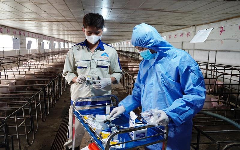 Chủ động kiểm soát dịch bệnh trên vật nuôi, không để bùng phát trên diện rộng