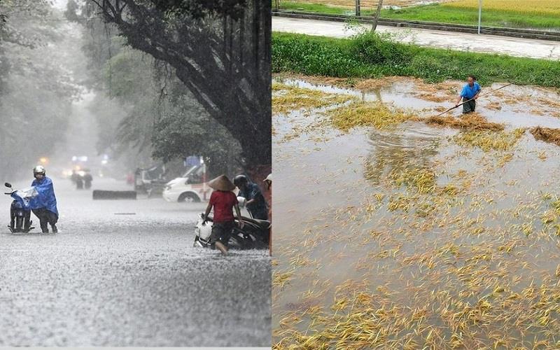 Đánh giá điều kiện khí tượng nông nghiệp và các yếu tố thời tiết bất lợi đối với sản xuất nông nghiệp năm 2024