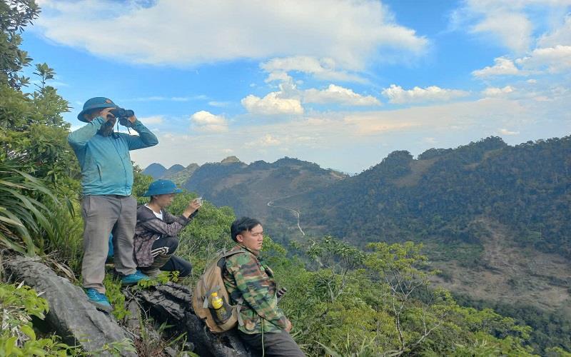 Giữ vững màu xanh cho rừng Vân Hồ: Hiệu quả từ sự vào cuộc đồng bộ