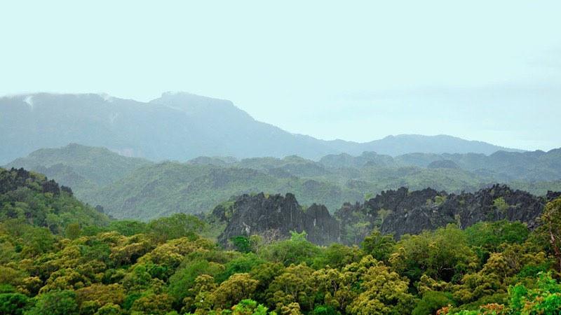 Gỡ khó trong thực thi chính sách bảo vệ rừng