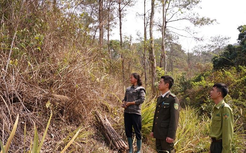 Hạt Kiểm lâm Đình Lập: Điểm sáng trong phát triển lâm nghiệp bền vững ở Lạng Sơn