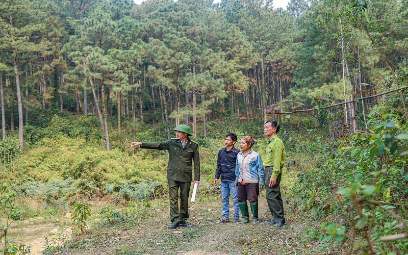 Kiểm lâm Phúc Yên: Nòng cốt trong quản lý, bảo vệ và phát triển rừng tại địa phương