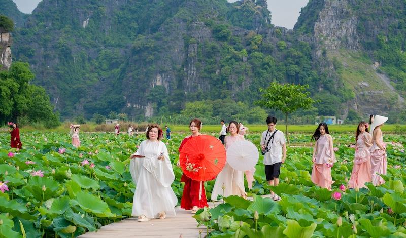 Ninh Bình: Trồng “Quốc hoa” quảng bá, phát triển du lịch nông nghiệp