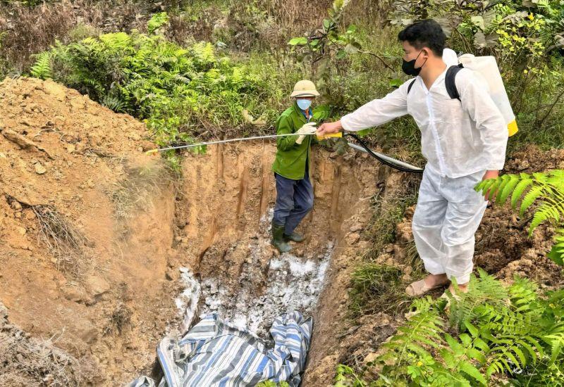 Nghệ An: Chung tay phòng chống dịch tả lợn Châu Phi