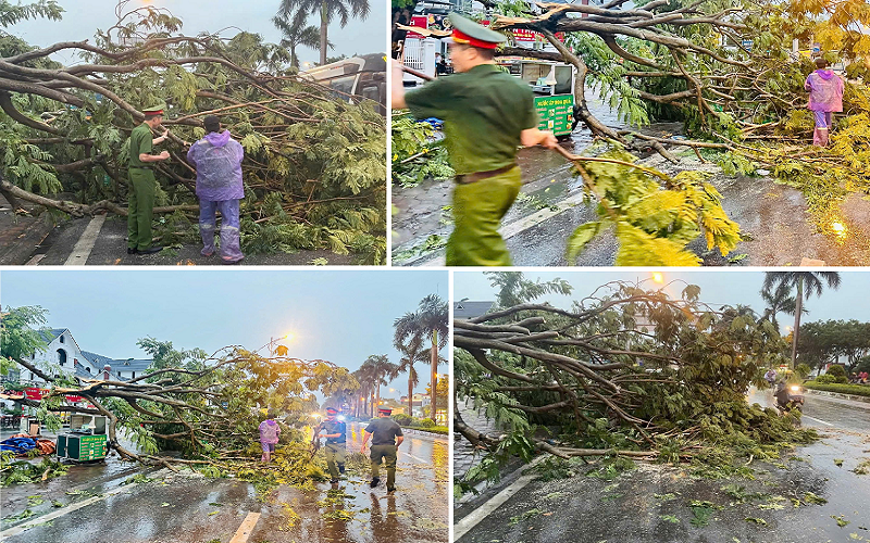 Hà Đông, Dương Nội, Kiến Hưng chủ động ứng phó giông lốc do ảnh hưởng bão số 3