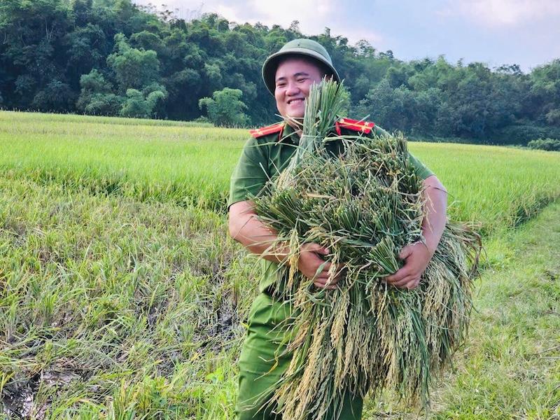 Thanh Hóa: Lực lượng vũ trang ra quân giúp dân thu hoạch lúa tránh báo số 9 - Ragasa